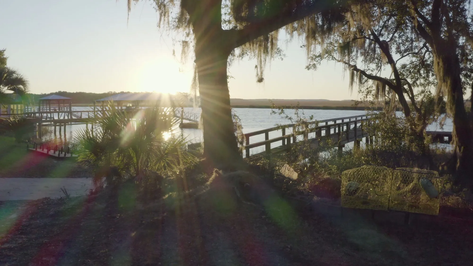 A live oak alley in the Lowcountry at golden hour
