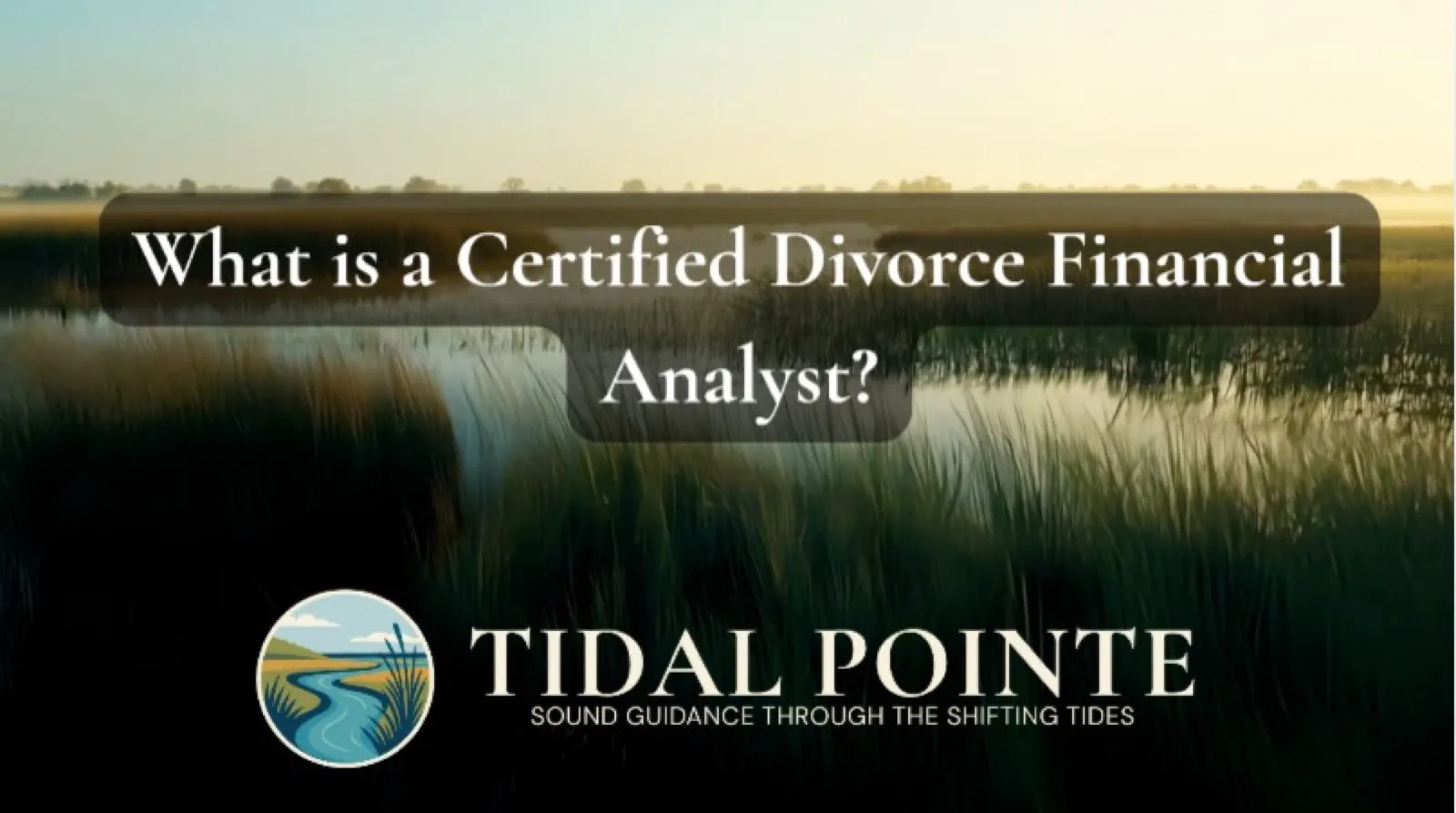 Certified Divorce Financial Analyst (CDFA) Explained | Why